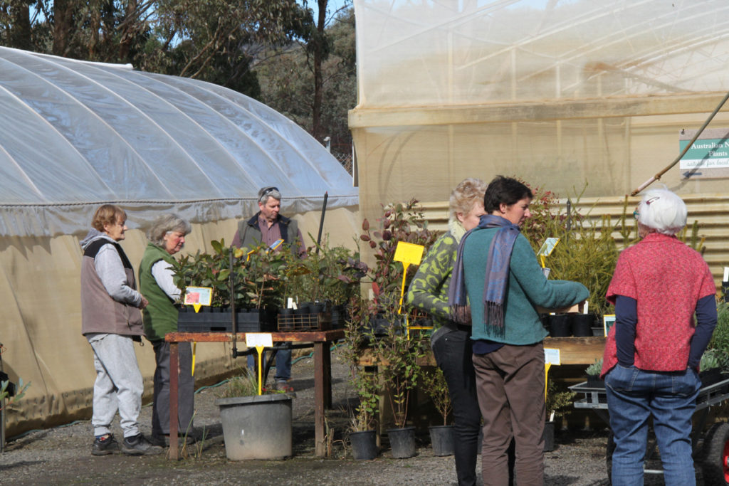 arboretum nursery