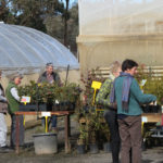 arboretum nursery