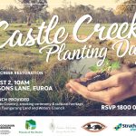 Castle Creek Planting Day