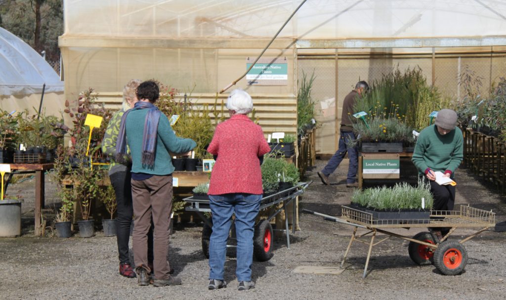 volunteers at the nursery