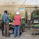volunteers at the nursery
