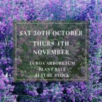 Nursery Plant Sale