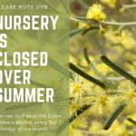 Nursery closed over summer