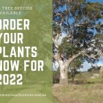 order your 2022 plant