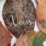Newsletter sign-up
