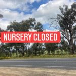 nursery closed