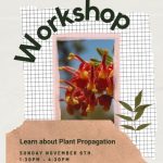 propagation workshop