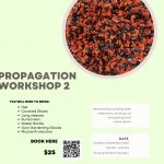 propagation workshop 2