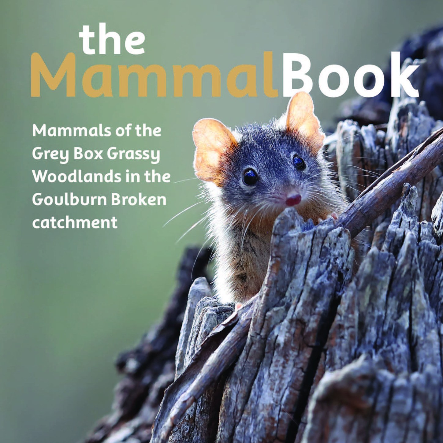 the Mammal Book