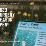 Retail Nursery Open