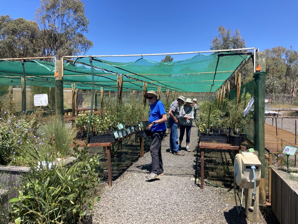 Arb retail nursery