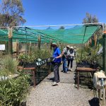 Arb retail nursery
