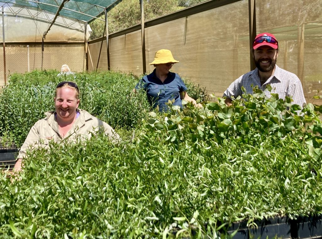 Jemma, Kirsten and Fearghus standing amongst plants in the nursery