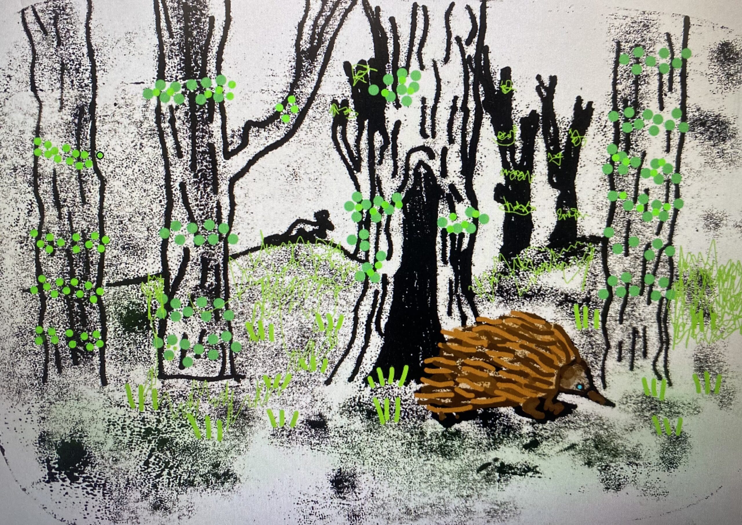 charcoal and colour drawing of an echidna walking through a burnt forest